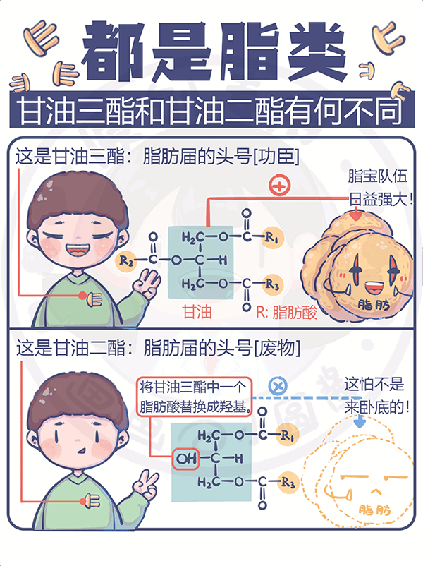 都是脂類甘油三酯和甘油二酯有何不同？